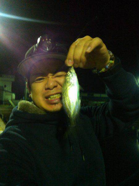 アジングナイト